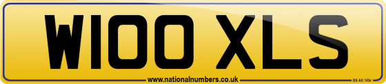 W100 XLS