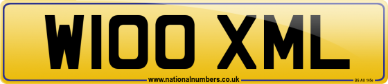 W100 XML