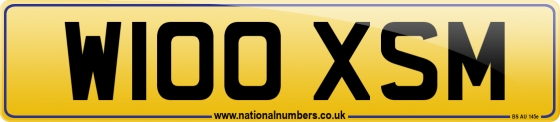 W100 XSM