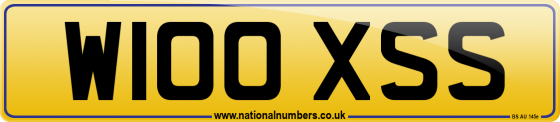 W100 XSS