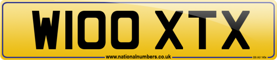 W100 XTX