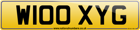 W100 XYG
