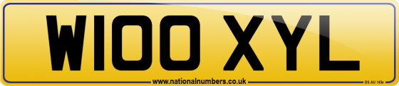 W100 XYL