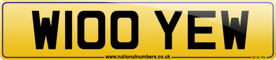 W100 YEW