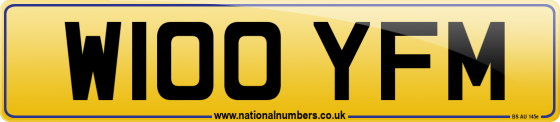 W100 YFM