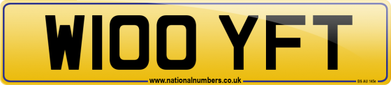 W100 YFT