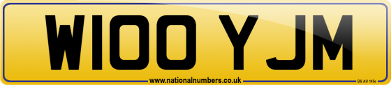 W100 YJM