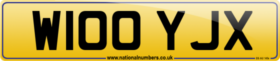 W100 YJX