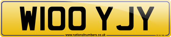 W100 YJY