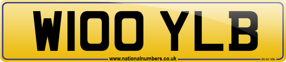 W100 YLB