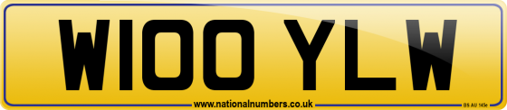W100 YLW