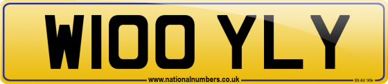 W100 YLY