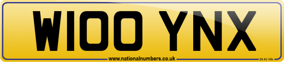 W100 YNX