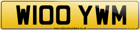 W100 YWM