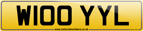 W100 YYL