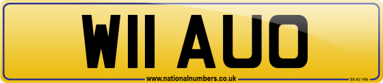 W11 AUO
