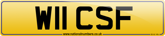 W11 CSF