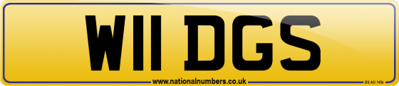 W11 DGS