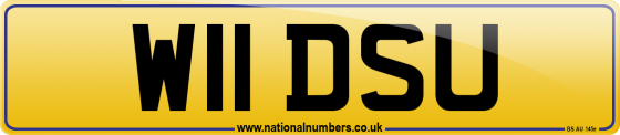 W11 DSU