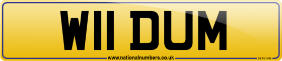 W11 DUM