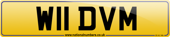 W11 DVM