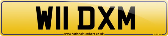 W11 DXM