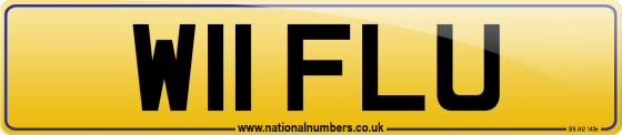 W11 FLU