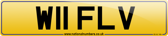 W11 FLV