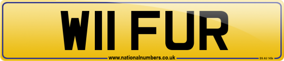 W11 FUR