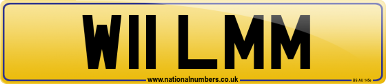W11 LMM