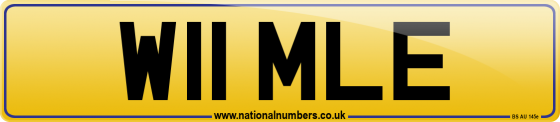 W11 MLE
