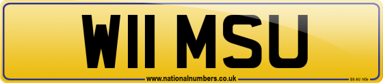 W11 MSU