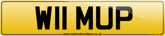 W11 MUP