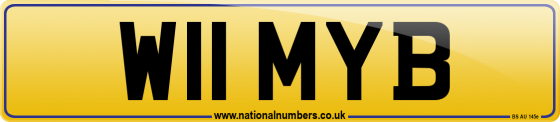 W11 MYB