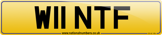 W11 NTF