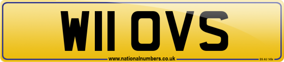 W11 OVS