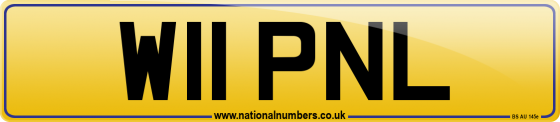 W11 PNL