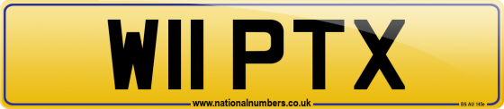 W11 PTX