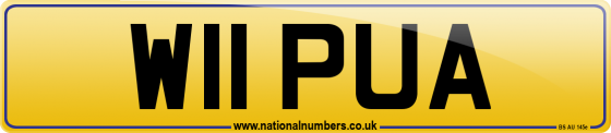 W11 PUA