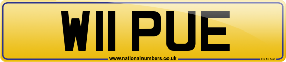 W11 PUE