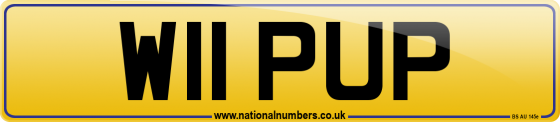 W11 PUP