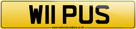 W11 PUS