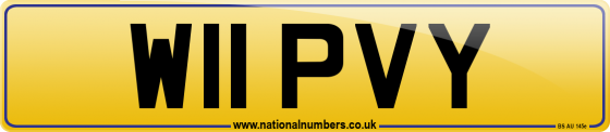W11 PVY