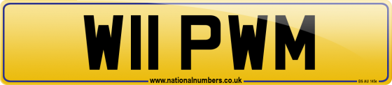 W11 PWM