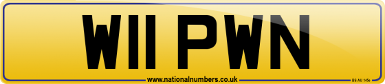 W11 PWN