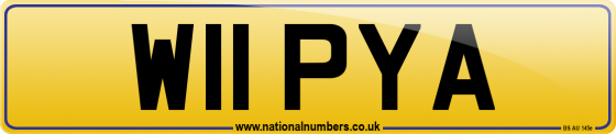 W11 PYA