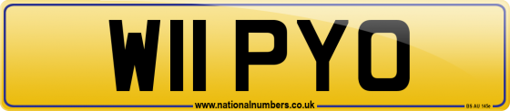 W11 PYO