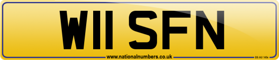 W11 SFN