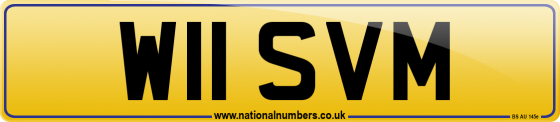 W11 SVM