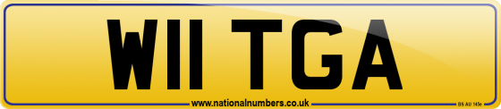 W11 TGA